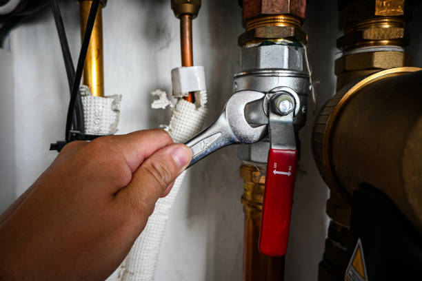 Best Clogged Drain Plumber  in Carnesville, GA
